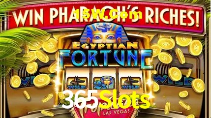 Experiência VIP 365Slots