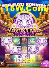 Interface Premium 365Slots