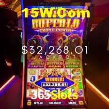 Bonus Features 365Slots